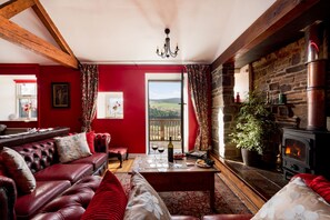 Smart TV, fireplace, video games, books