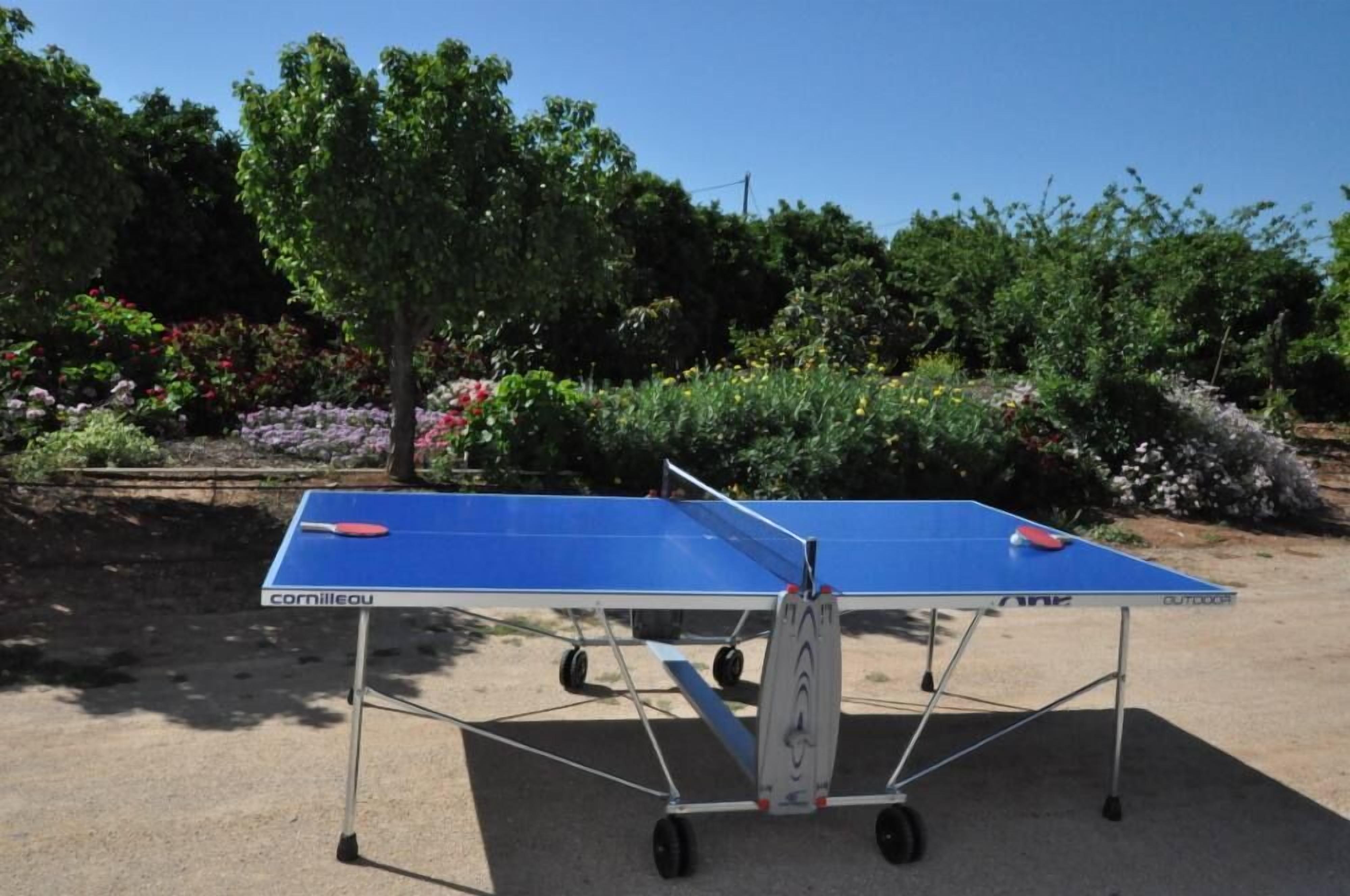 An outdoor table tennis table with wheels, surrounded by greenery and flowers.