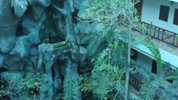 A multi-level building with a rock garden and various plants. - Chaikanathani Hotel (Phatthalung)