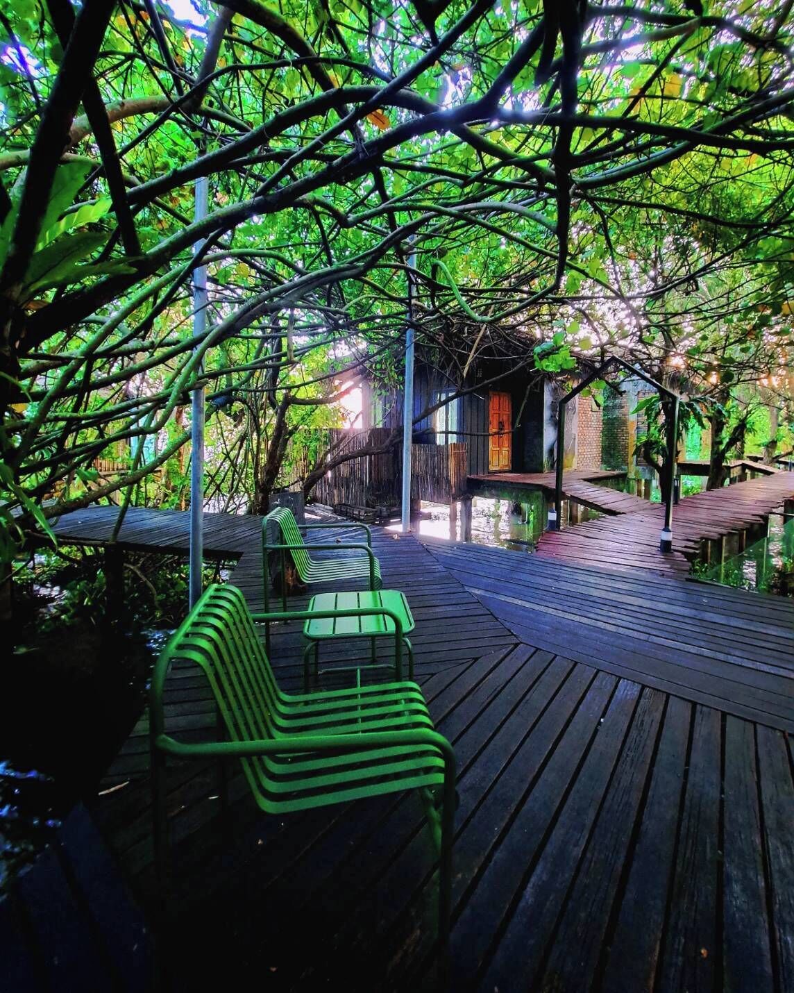 38-吋平面電視、衛星頻道、電視