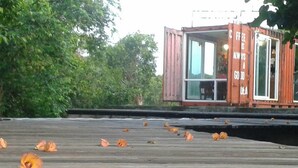 Uklassifisert bilde, 4 av 29, knapp