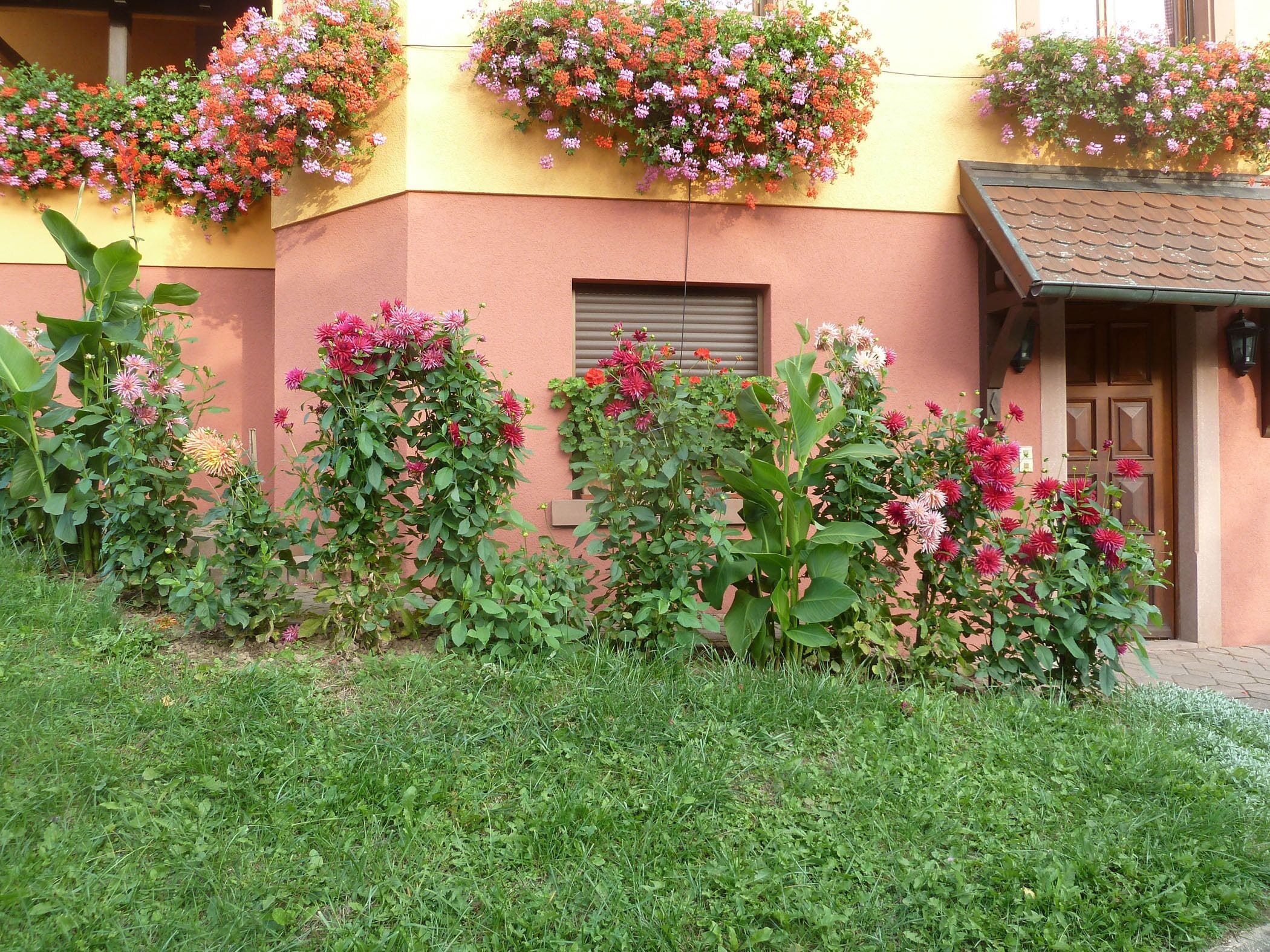 Details aan de buitenkant