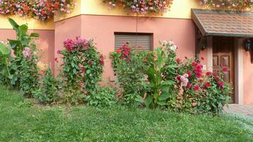 Details aan de buitenkant