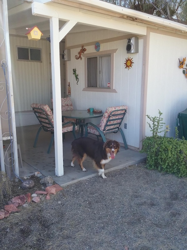 A covered patio with a table and chairs, a small dog, and decorative items.