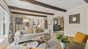 Smart TV, fireplace, books, music library