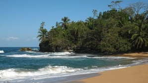 Une plage à l’eau d’un bleu limpide, bordée d’un rivage sablonneux et d’une végétation luxuriante.