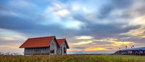 Uitzicht vanuit accommodatie