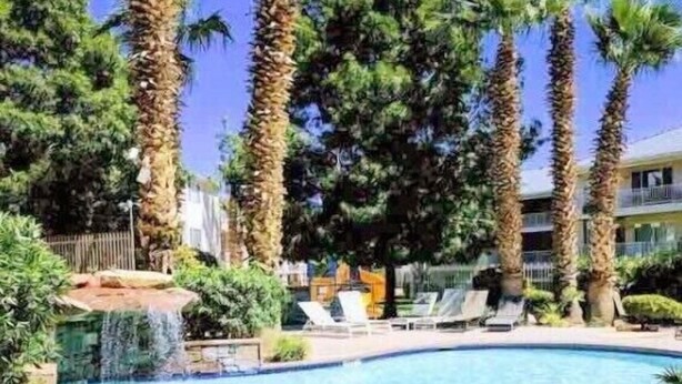 A swimming pool with palm trees and lounge chairs. - Extra large one bedroom with access to the Las palmas Resort  pools. (Saint George)