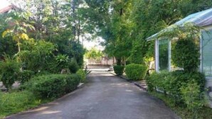 A narrow, paved pathway flanked by dense greenery and a building with a green roof. - River Park Resort (Yan Ta Khao)