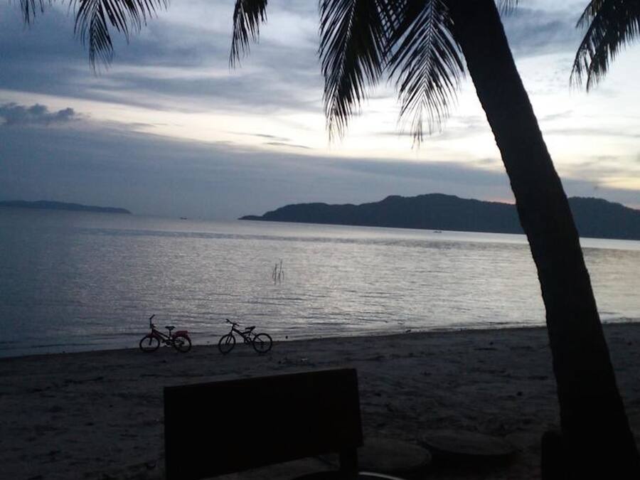 A beach with a bench and bicycles, palm trees, and a calm sea.