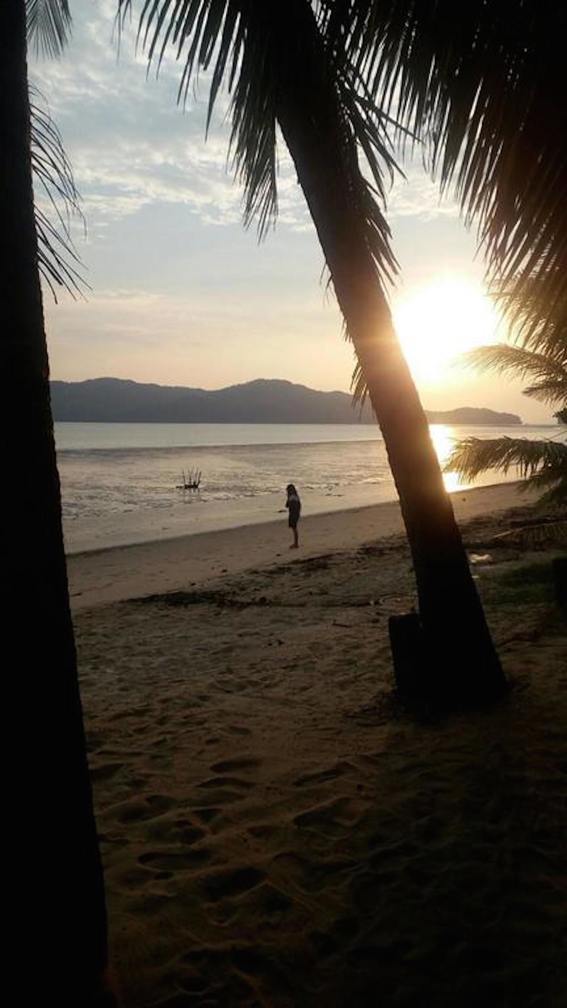 A beach scene with a person walking on the sand, palm trees, and a sunset in the background.
