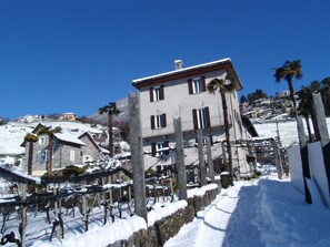 Exterior - A green oasis in the middle of the popular resort of Tenero on Lake Maggiore (Tenero)