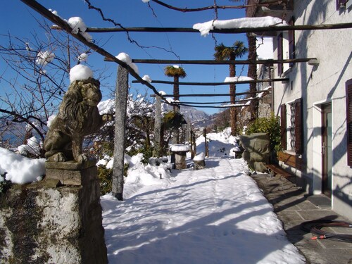 A green oasis in the middle of the popular resort of Tenero on Lake Maggiore