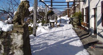 A green oasis in the middle of the popular resort of Tenero on Lake Maggiore