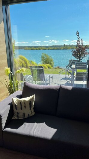 Smart TV, chimenea, reproductor de DVD y libros 