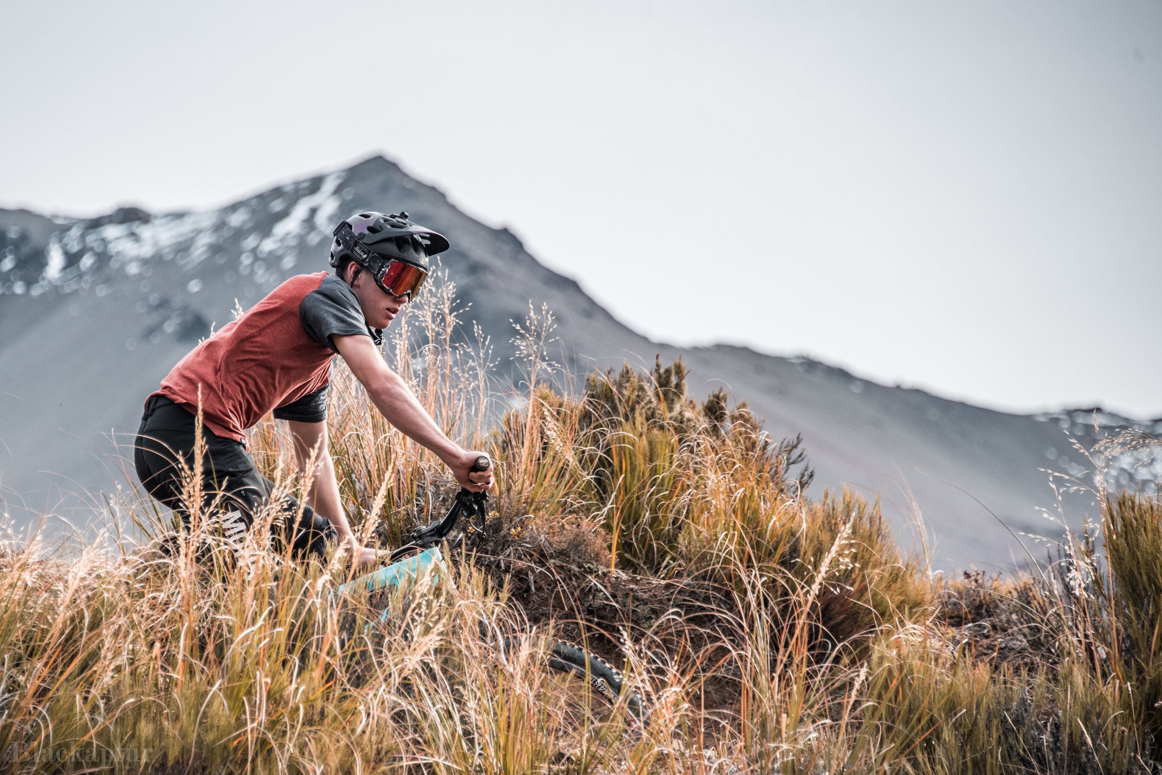 A person riding a mountain bike through tall grass with a mountainous background.