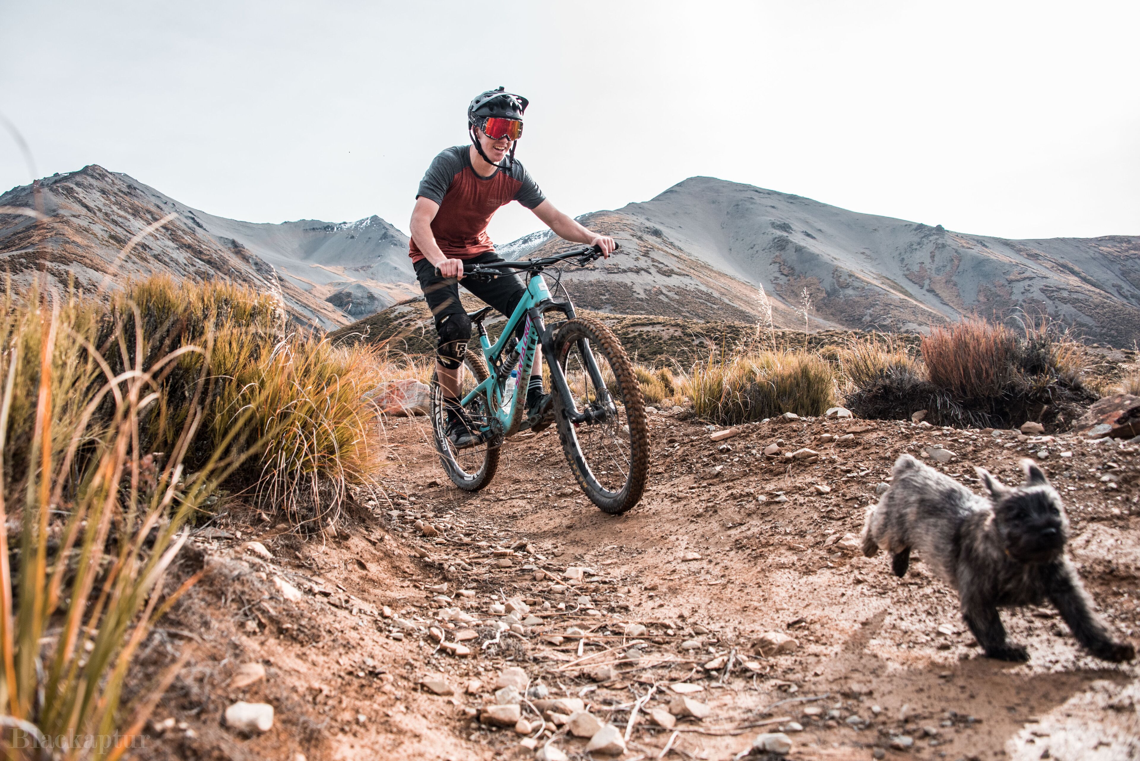 A person riding a mountain bike on a dirt trail with a cat nearby.