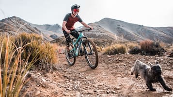 A person riding a mountain bike on a dirt trail with a cat nearby.