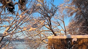 A snow-covered outdoor seating area with benches and a wooden structure in the background. - Vacation home on Pilsensee with direct lake access, jetty and sauna (Herrsching am Ammersee)