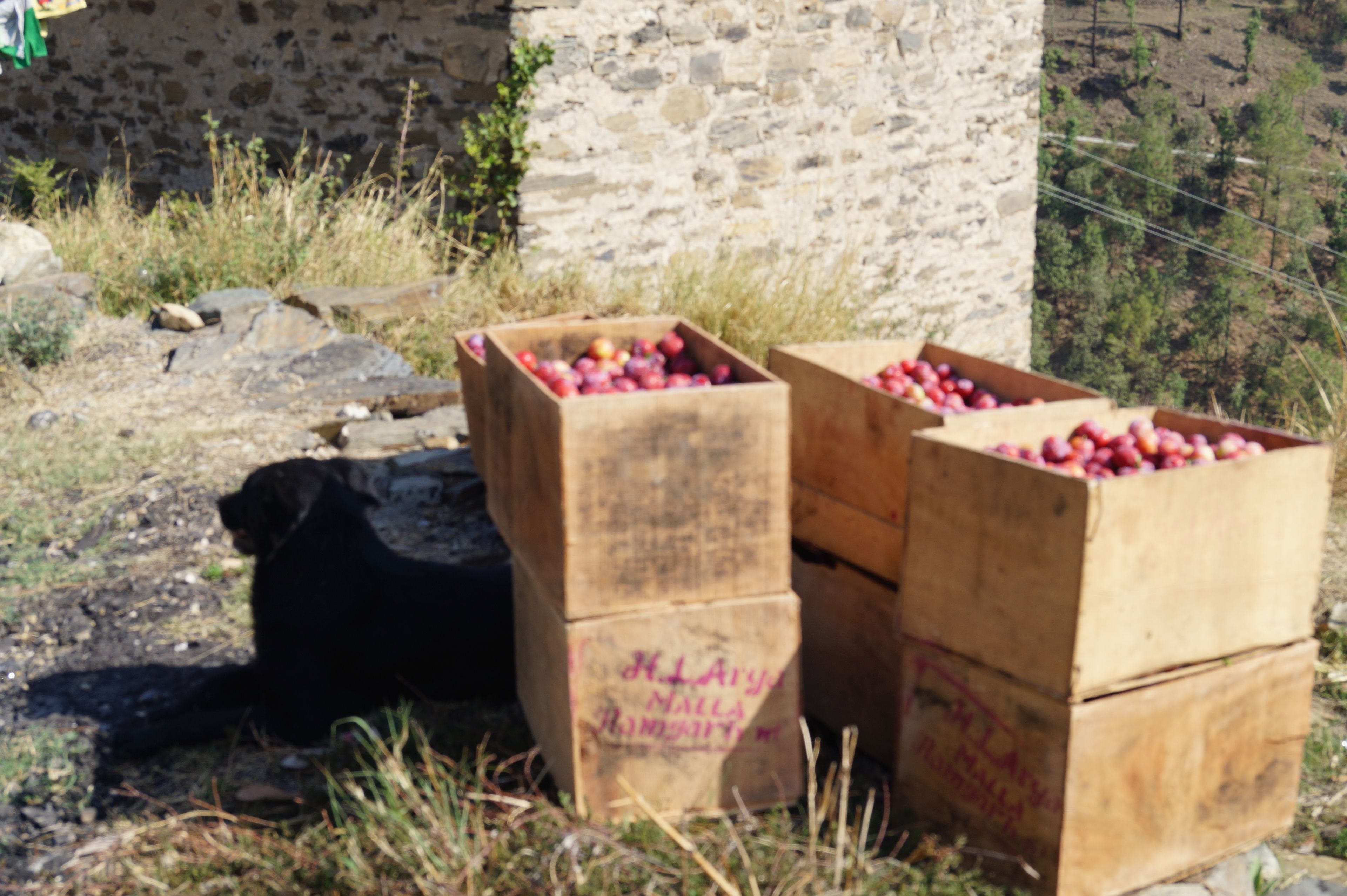 Instalações esportivas