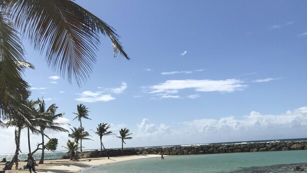 Una playa con agua turquesa cristalina, palmeras y un rompeolas rocoso.