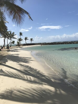 Une plage à l’eau turquoise et limpide, bordée de palmiers et protégée par une digue rocheuse.