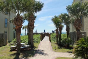 A pathway leading to a beach with palm trees and a wooden fence.