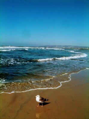 En la playa 