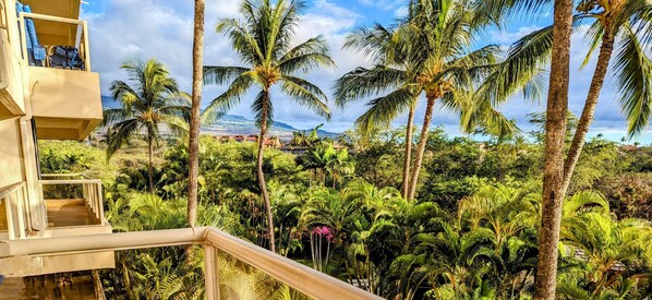 A balcony with a view of a lush tropical garden, palm trees, and distant mountains.
