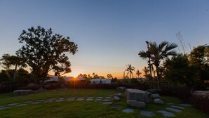 Un jardín con un árbol grande, palmeras y un atardecer al fondo.
