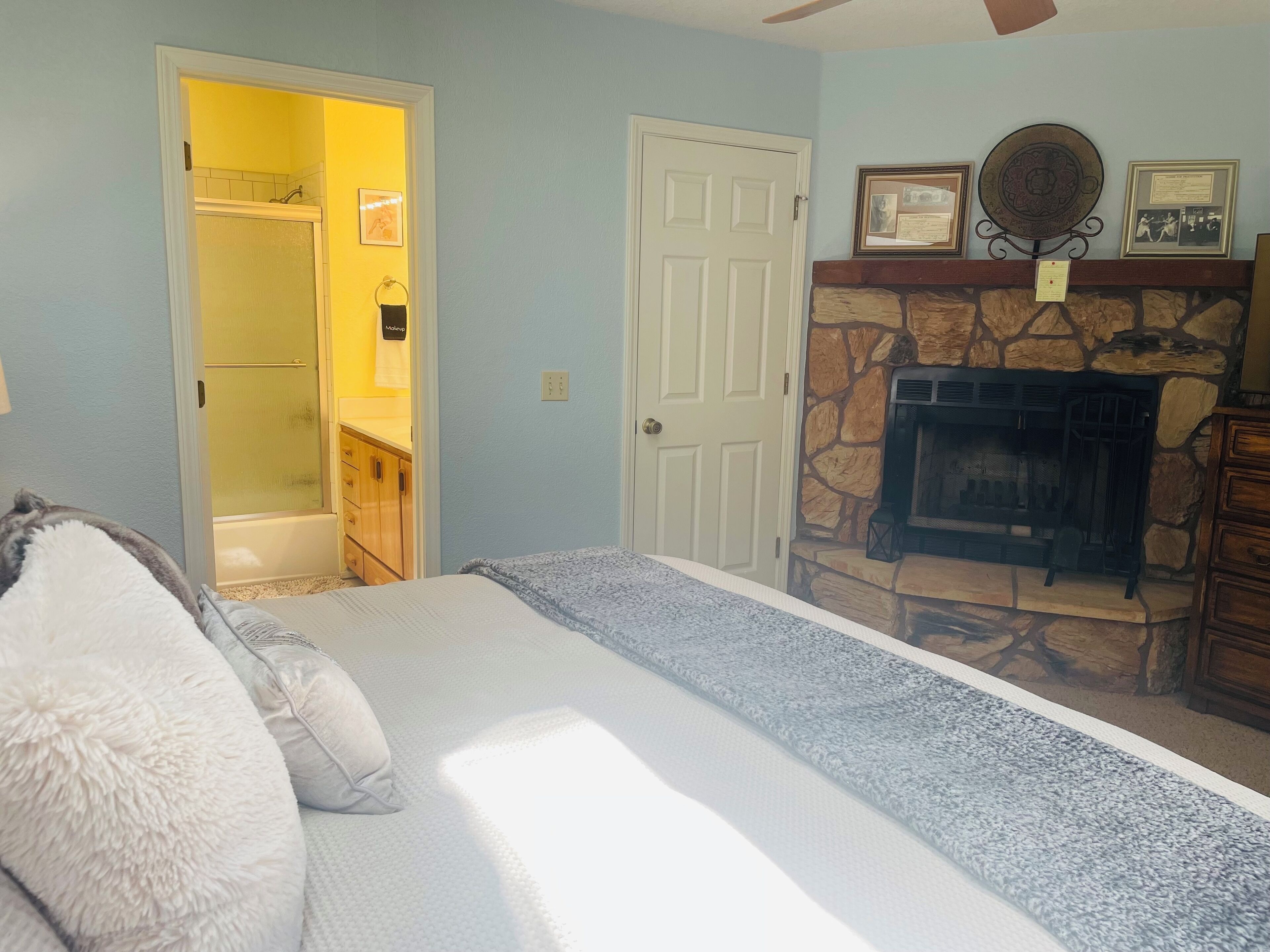 A bedroom with a bed, a bathroom with a shower, a stone fireplace, and a door.