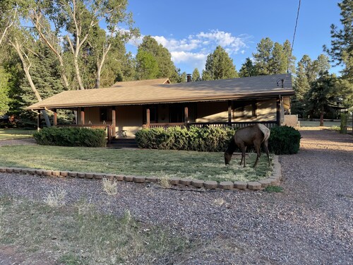 Viihtyisä, puhdas ja mukava talo mäntyissä.  Tuntuu isoäidin talolta!