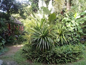 A lush garden with various plants and a thatched-roof structure.