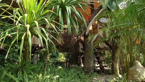 A wooden structure surrounded by lush greenery, including palm trees and ferns. - Baan Suan Jantra Home Stay (Chiang Rai)