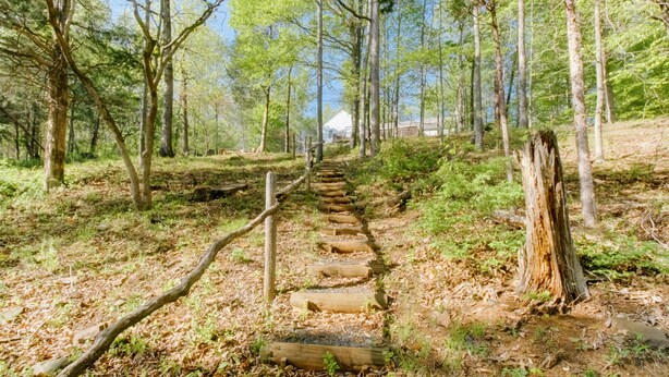 A forested area with a wooden staircase leading to a white building.