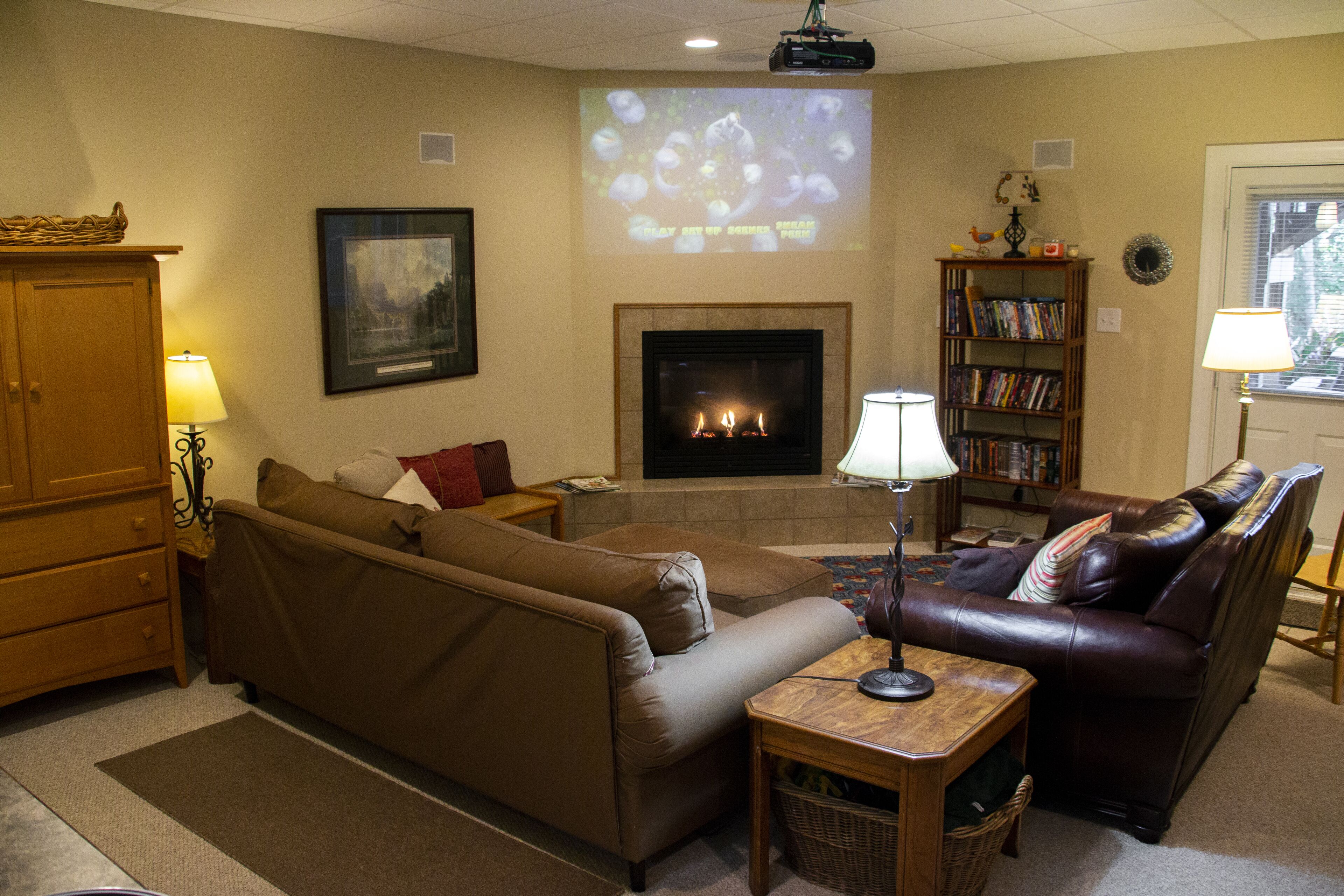 Smart TV, fireplace, DVD player, books