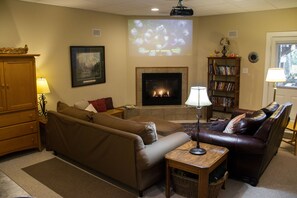 Smart TV, fireplace, DVD player, books