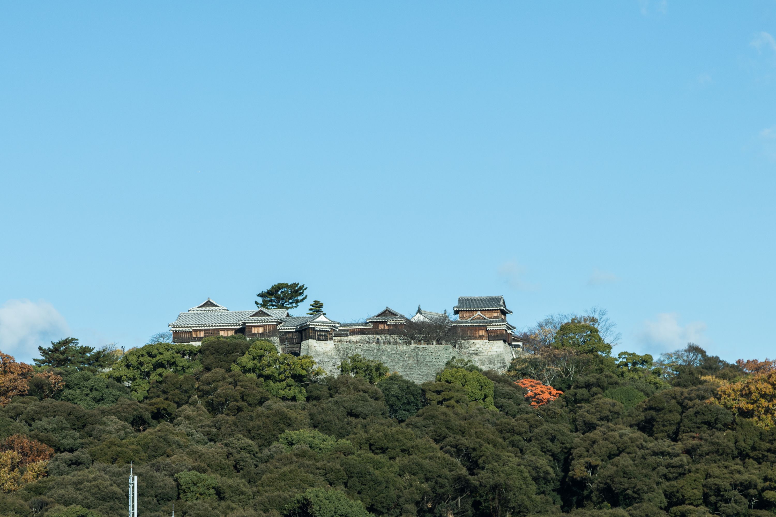 Un castillo japonés tradicional en una colina con un bosque frondoso.