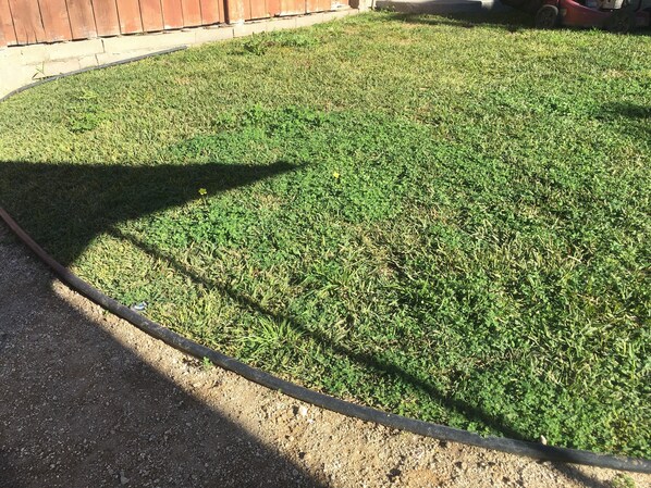 A well-maintained lawn with a black hose running along the edge.