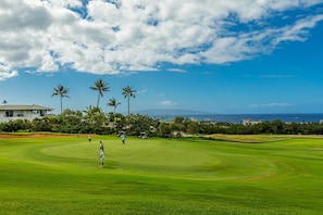 Een golfbaan met uitzicht op de oceaan en palmbomen op de achtergrond.