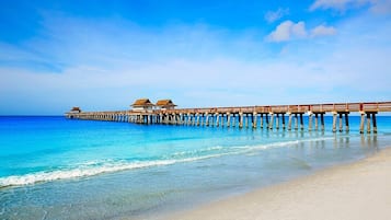 Chaises longues, serviettes de plage