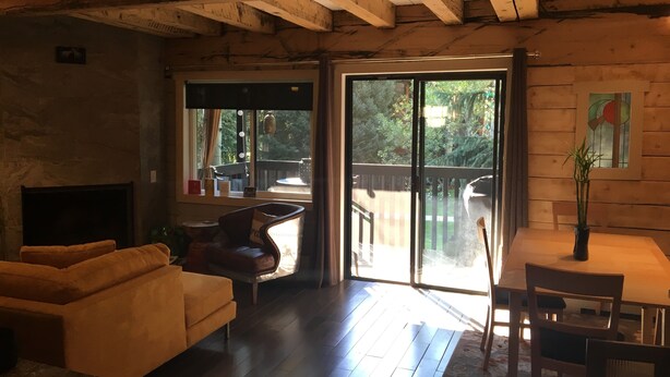 A cozy living room with a fireplace, a sofa, a dining table with chairs, and a large sliding glass door leading to an outdoor deck. - Charming 2 Bdrm Condo, Peaceful Setting on Bus Line/Vail #011008 (Vail)