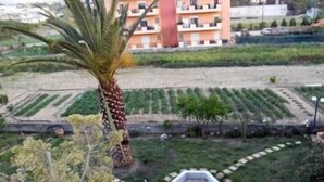 A residential building with multiple balconies and a well-maintained garden with a palm tree and a hexagonal planter. - Volanakis Apartments (Malevizi)