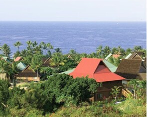 Stunning ocean views from a traditional hillside retreat surrounded by lush greenery and palm trees.