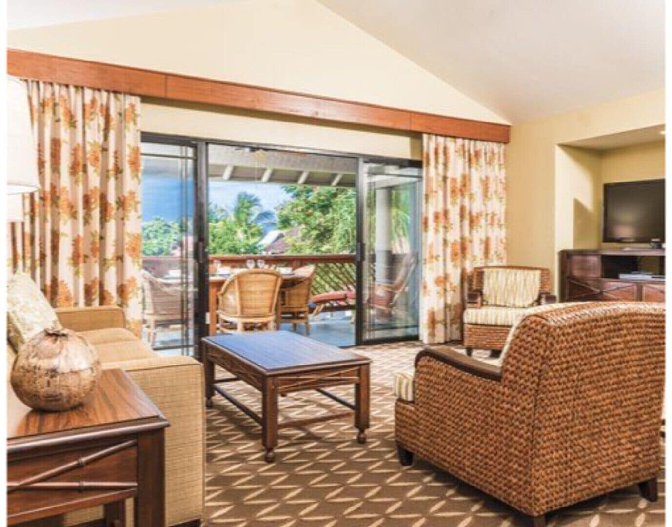 TV, fireplace, DVD player, books