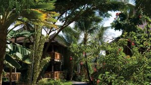 A wooden cabin with a balcony, surrounded by lush tropical vegetation and a well-maintained lawn. - Ironman 2026! Easy access to Ironman & everything else!  Great Rate! Sleeps 6! (Kailua-Kona)