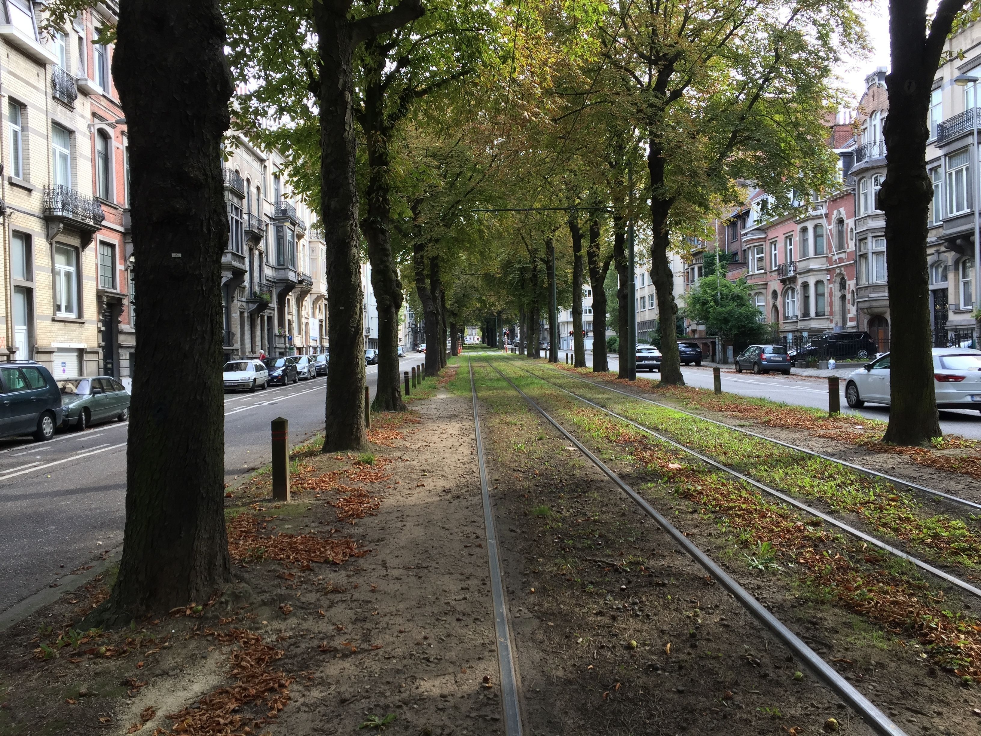 Photo - Albert Molière