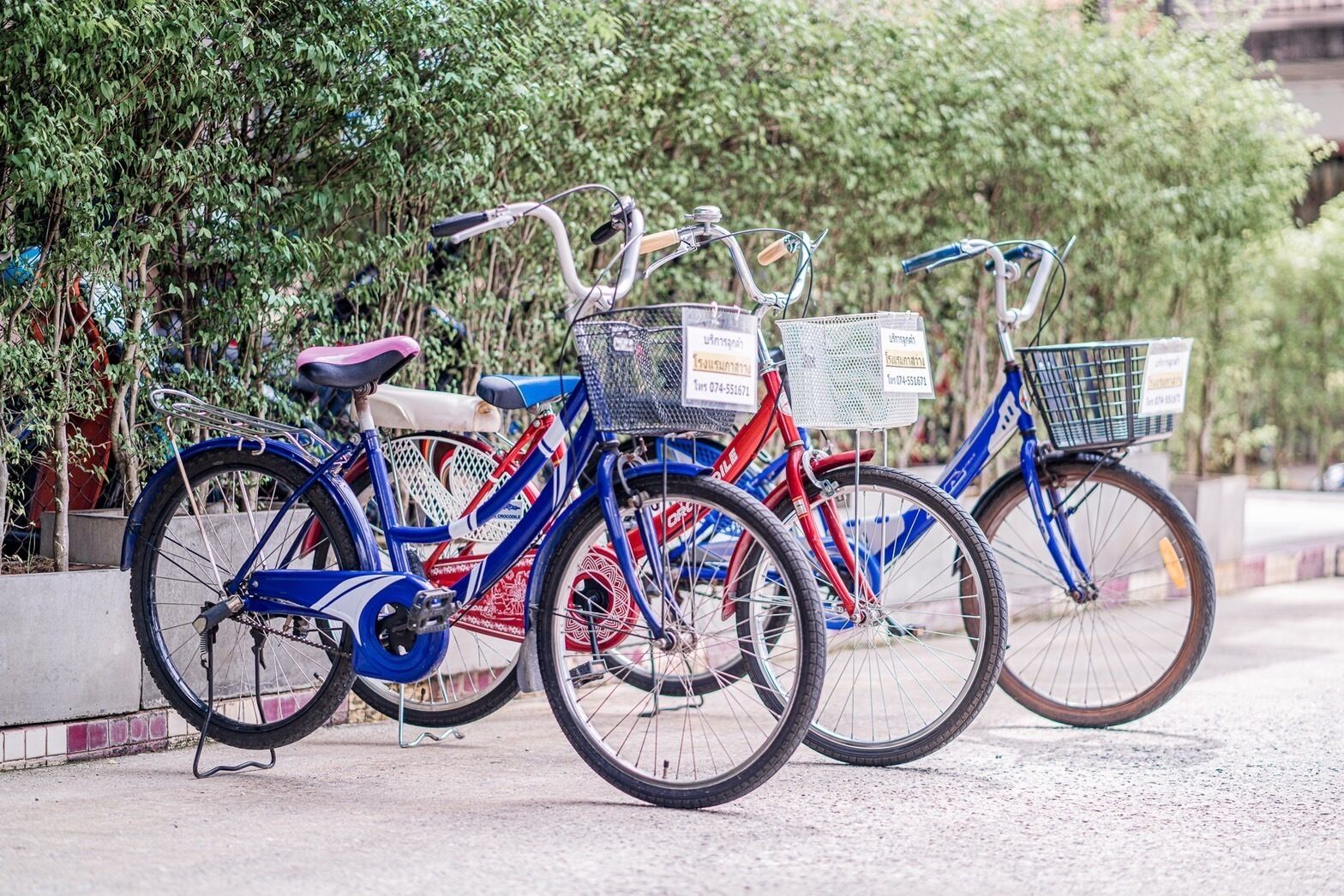 Tres bicicletas estacionadas sobre una superficie pavimentada, con una cerca metálica y vegetación al fondo.