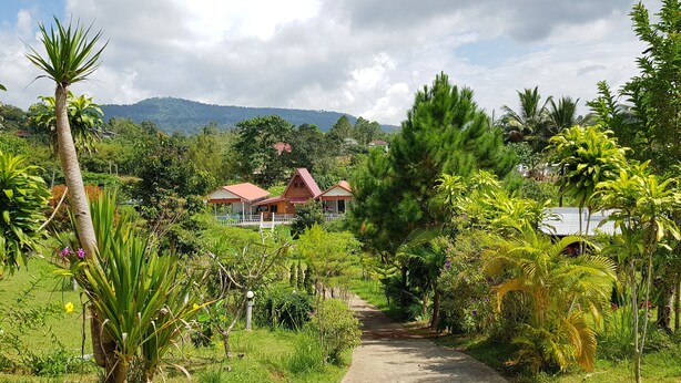 A pathway leading to a cluster of red-roofed buildings surrounded by lush greenery and a mountainous backdrop. - Baan Phanawan Resort (Khao Kho)