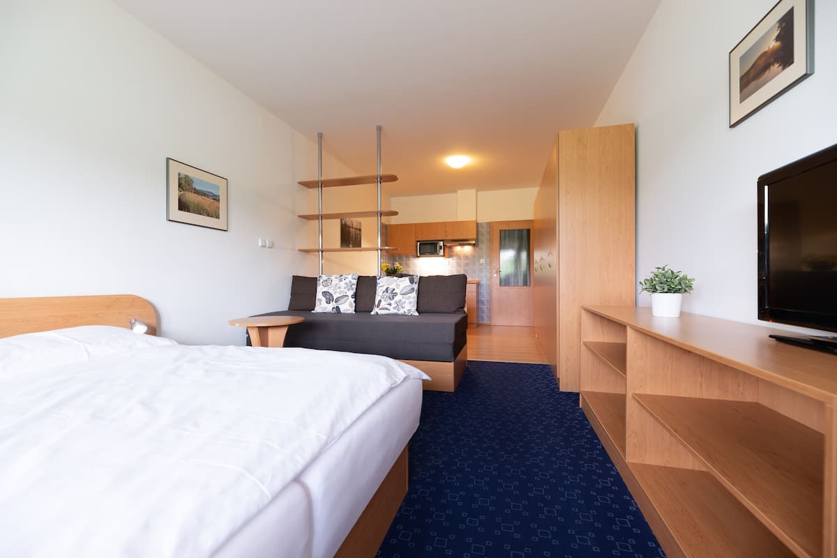 Una habitación de hotel con cama, sofá, televisión y una pequeña mesa con una planta.
